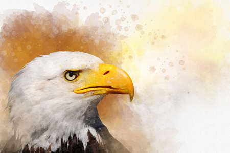 Watercolor painting of an american bald eagle. Symbol predator, bird illustration.の写真素材