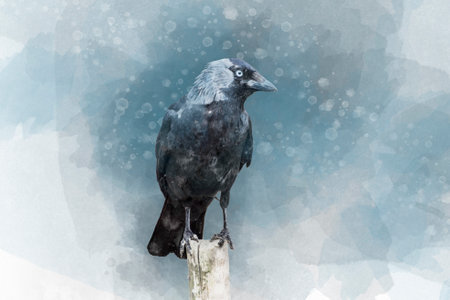 Portrait of a Crow bird, watercolor paintingの写真素材
