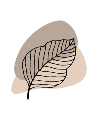Abstract trendy Botanical wall art. Foliage line art drawing with shape. Minimal, natural wall art.の写真素材