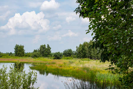 Beautiful dutch landscape with small lake in the summer. Maasduinen - a picturesque place in North Limburg, Netherlandsの写真素材
