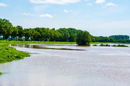 Flooded Dutch polder area next to a dike overgrown with grass. Flood in Limburg in July 2021.の写真素材
