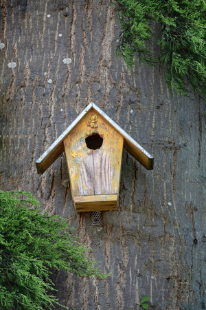 Wooden bird cage, bird house in the forest