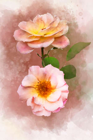 A watercolor drawing of a vibrant pink rose flower. Botanical art. Decorative element for a greeting card or wedding invitationの写真素材