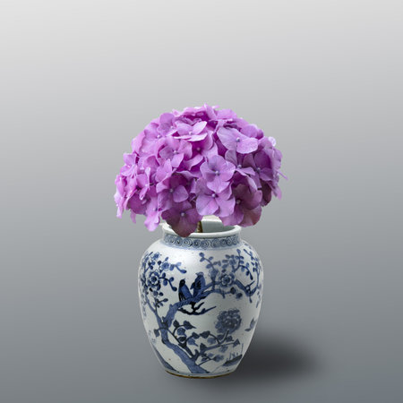 Hydrangea macrophylla Hydrangea - purple flower in an old chinese vase