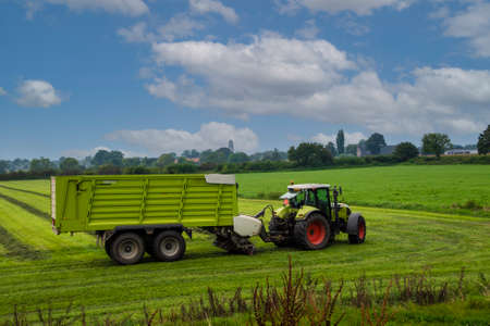 Hay harvesting in the field. The harvester collects the cut grass in the tractor trailer.の写真素材