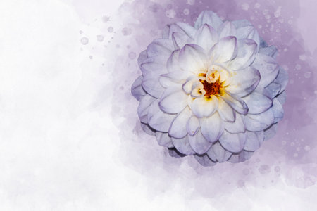 Dahlia: Watercolor style flower illustration for background, invitation card, birthday cardの写真素材