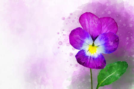 Close-up of purple pansy flower in watercolor. Botanical illustration for greeting cardの写真素材