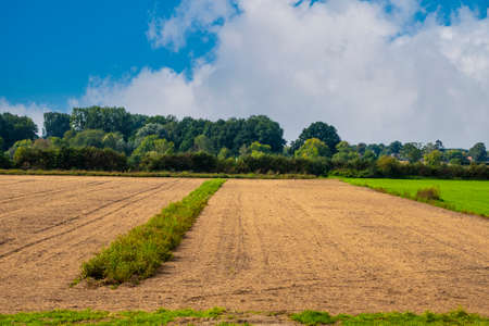 Autumn landscape. Blue sky over an empty field.の写真素材