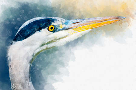 Watercolor - portrait of a heron. Hand drawn watercolor heron perfect for design greeting card or print.の写真素材