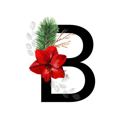 Capital letter B decorated with red amaryllis flower and pine twig. Letter of the English alphabet with christmas decoration.の写真素材