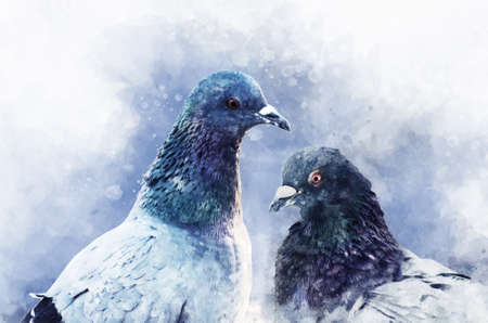 Portrait of two Pigeon birds, watercolor painting. bird illustration.の写真素材