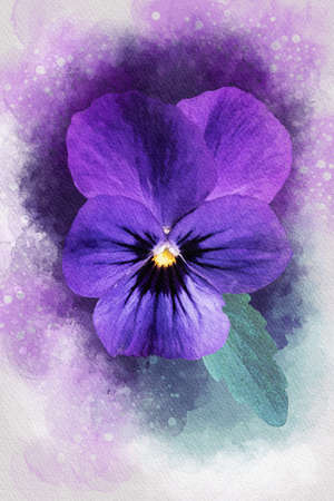 Close-up of a purple pansy flower in watercolor. Botanical illustration for greeting cardの写真素材