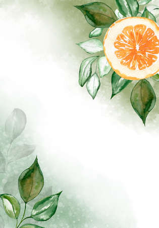 Watercolor orange fruit background. Orange branch with ripe fruits. Gentle summer background for menus, flyers, labelsの写真素材