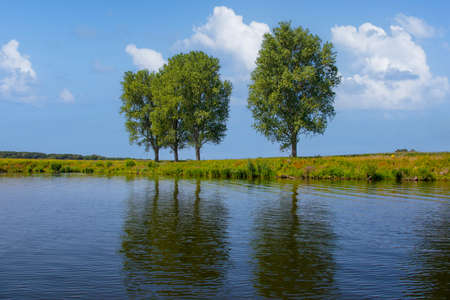 A beautiful lake in summer green forest. Lake shoreline background reflection. Summer green lake view. Summer forest lake landscapeの写真素材