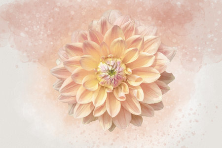 Bright orange Dahlia: Watercolor style flower illustration for background, invitation card, birthday cardの写真素材