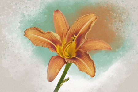 Watercolor painting of a vibrant orange day lily flower. Botanical illustrationの写真素材