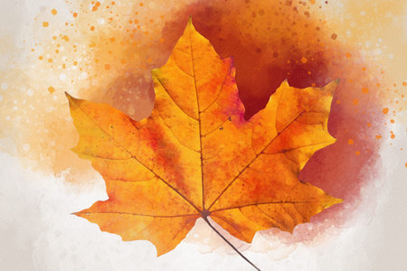 Colorful isolated fall leaf on a red watercolor background