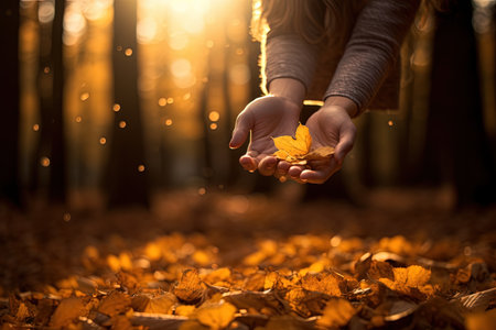 A woman takes autumn leaves in his hands. Generative AI.の素材
