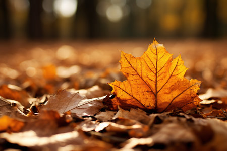 Golden autumn leaves on the ground in the forest. Generative AI.の素材