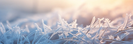 Winter view with frost and snow covered dry plants. Hoar frost.の写真素材