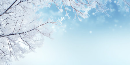 Idyllic winter scene background with snowy fir tree. Industries covered with hoarfrostの写真素材