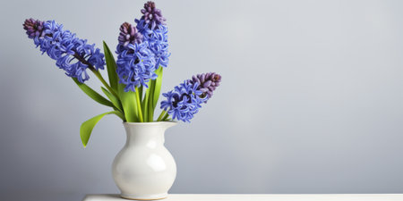 Spring hyacinths in a vase on a light backgroundの写真素材