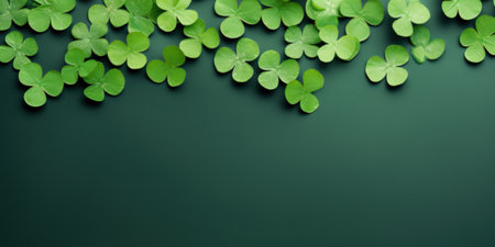 Fresh 4-leaf clover leaves or shamrock on green background. Top view with copy spaceの素材