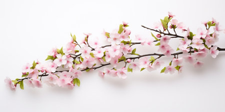Blossom's fleeting beauty in an ultra-realistic and captivating styleの素材