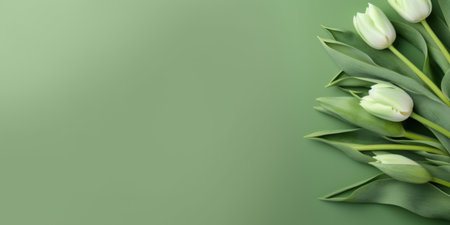 Tulips on green background with copy space. Top view.の素材