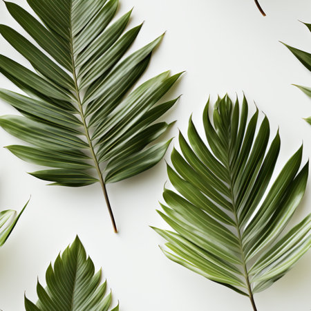 Seamless pattern of palm leaves on a white backgroundの素材
