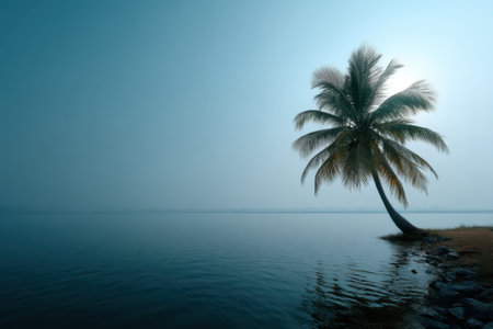 Coconut tree on the beach in the morning mist. Thailandの素材