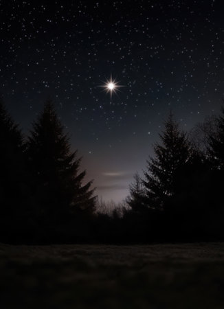 A serene image of the night sky, with a shining star as the focal point, reminding us of the divine light that entered the world through Jesus' birthの素材