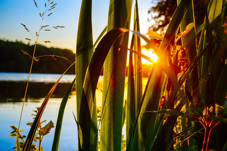 Beautiful summer background with lake sunset.の写真素材