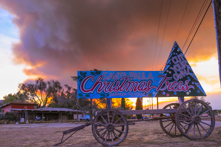 Christmas trees sign in front of California Wildfire Smoke, Ventura county, December 7th 2017. Sky burned during wildfire natural disasterのeditorial素材