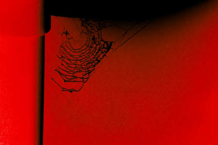 Cobweb in redの写真素材