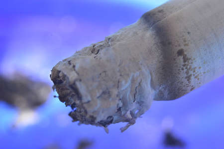 Blue cigaretteの写真素材