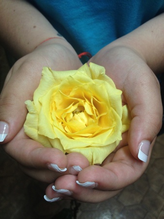 Girl holding a roseの素材