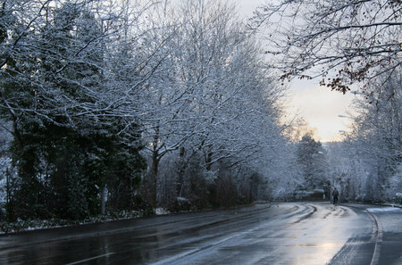 Winter sceneの写真素材