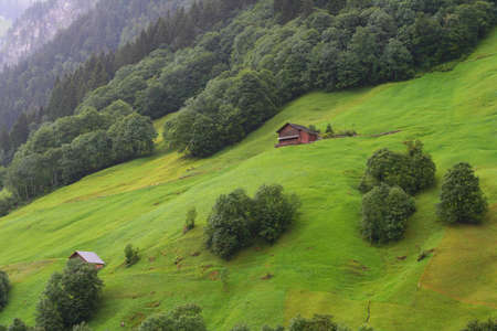 Alpine Hillsの写真素材