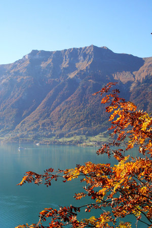 Beauty Autumn