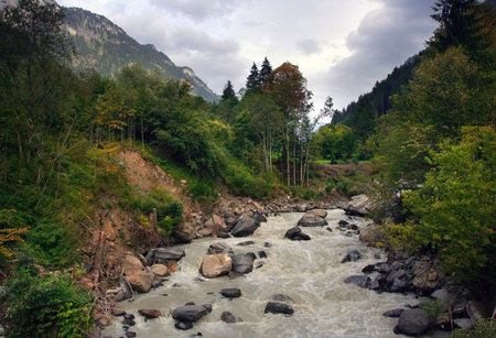 Autumn sceneの写真素材