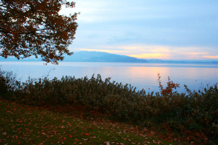 evening scene on the lakeの写真素材