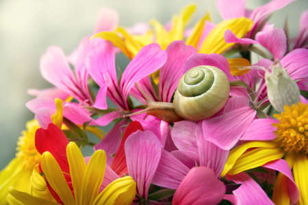 bouquet 6の写真素材