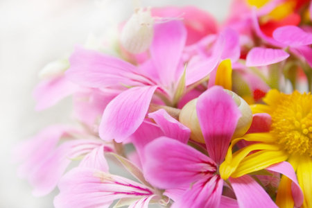 bouquet 7