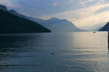 Evening Lake 4の写真素材