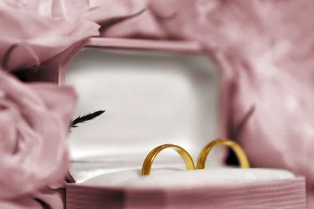 two wedding ringsの写真素材