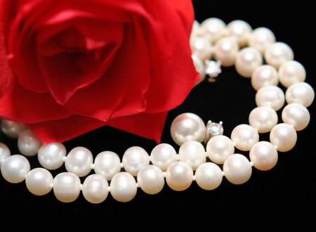 Pearl giftの写真素材