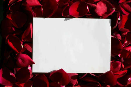 Paper over roses petalsの写真素材