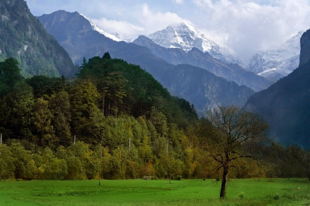 Grindelwald in Alpsの写真素材