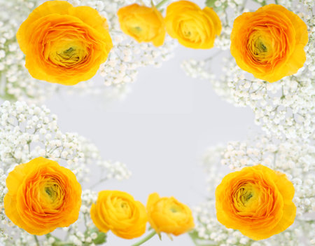 Lilys  beautiful flowers making border framed isolated love letter horizontal backgroundの写真素材